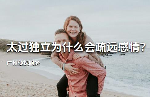广州侦探服务:太过独立为什么会疏远感情?